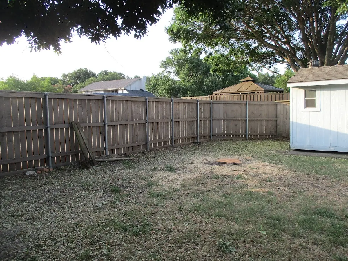 Cleared yard after professional tree removal in Fairmount City
